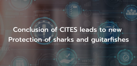 Conclusion of CITES leads to new protection of sharks and guitarfishes
