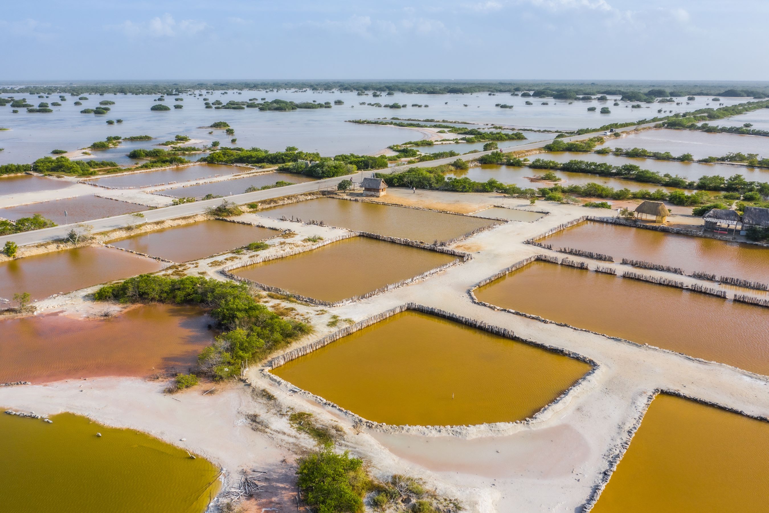 Vietnam asks China to expand the list of agricultural and aquatic products for export