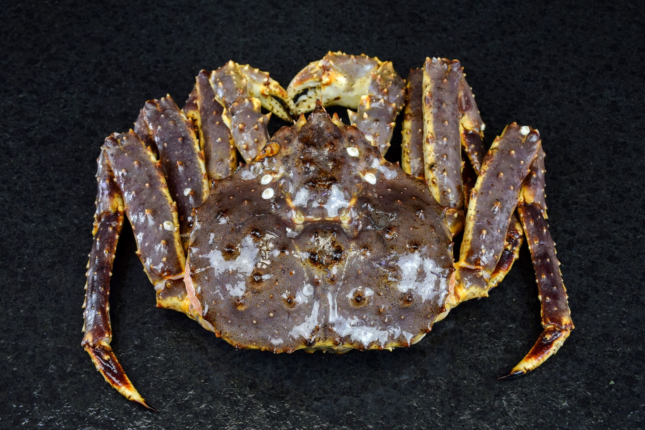 Russia aims to develop crab market